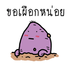 ลายที่ 23