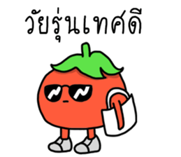 ลายที่ 27