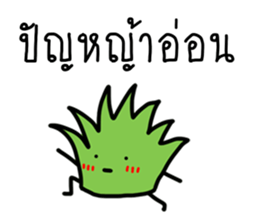 ลายที่ 29