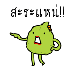 ลายที่ 33