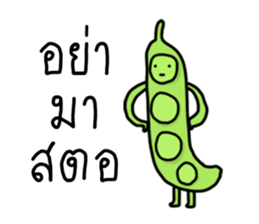 ลายที่ 35