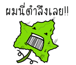 ลายที่ 37