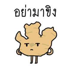 ลายที่ 41