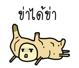 ลายที่ 43