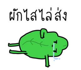 ลายที่ 45