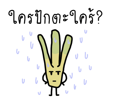 ลายที่ 24