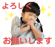 536012304