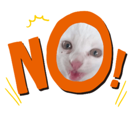 536020659
