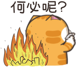 536051857