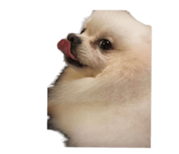 536074121