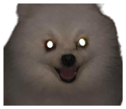 536074125