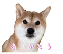536080637