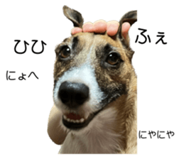 536081162
