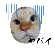 536093735