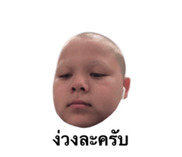 536095954
