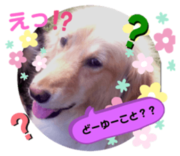 536126666