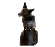 536144688