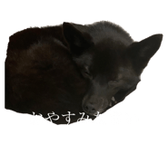 536144690