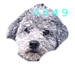 536145919