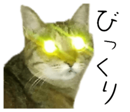 536174508