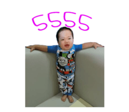 53619099