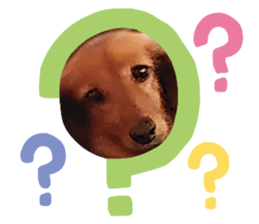536236816