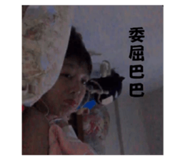 536244387