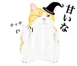 5362614