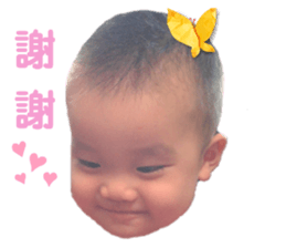 536338717