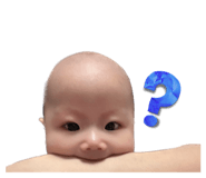 536338801