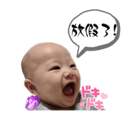 536338804