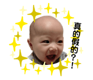 536338805