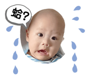 536338807