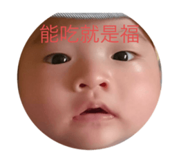 536338825
