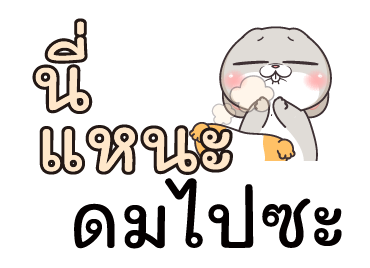 ลายที่ 8