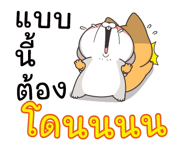 ลายที่ 13