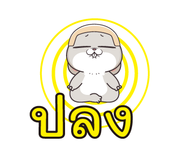 ลายที่ 22