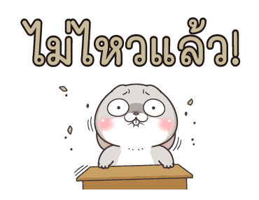 ลายที่ 24