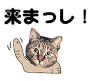 536340367