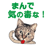 536340368
