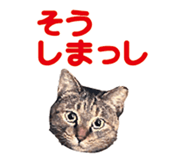 536340369