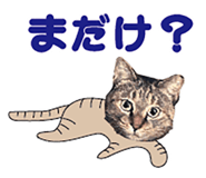 536340370