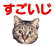 536340371