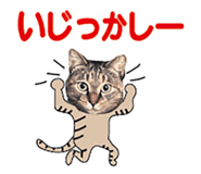 536340372