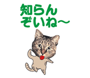 536340373