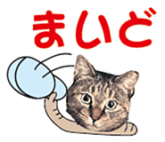 536340374