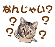 536340375