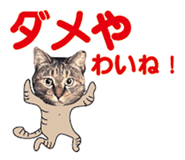 536340376