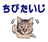 536340379