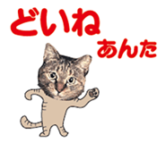536340381